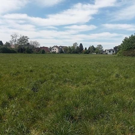 Stadtgruen 2 ベルリン エクステリア 写真